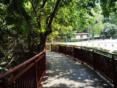 -红花湖景区