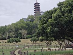 -红花山公园