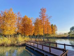 -梁鸿国家湿地公园