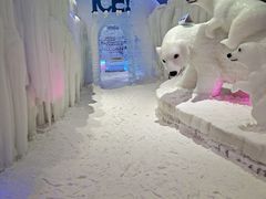 -宁波冰雪大世界(北仑区)