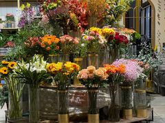 -沃洛格达(万象城n次方店)