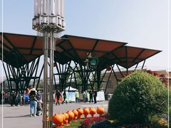 -上海长兴岛郊野公园