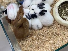 -三旗百汇商品城