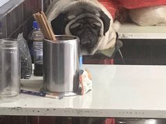 -双冰面馆(茶南店)