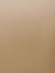 -奥丽维娅美容养生会所