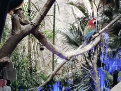 -杭州开元森泊度假乐园