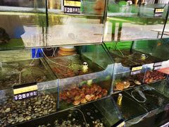 -四海鲜渔家菜(黄金海岸店)