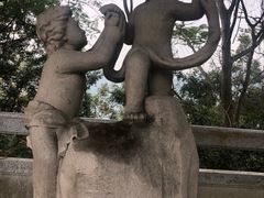 -银湖山郊野公园-相思林