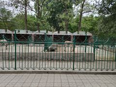 -保定市动物园
