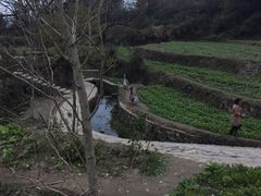 -塔川景区