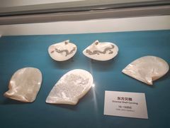 -青岛贝壳博物馆