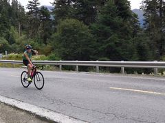 -GIANT捷安特自行车专卖店(金桥台儿庄路店)