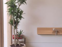 -喜茶(广州番禺奥园广场店)
