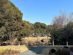 -白马涧龙池景区