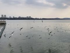 -蠡湖大桥公园