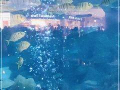 -成都浩海立方海洋公园