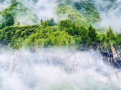 -鹿院坪生态旅游景区