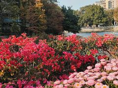 -荔湾湖公园