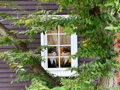 -三鹰之森吉卜力美术馆