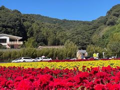 -广州市石门国家森林公园
