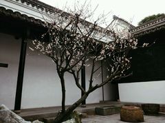 -绮园景区