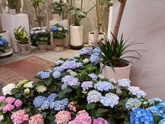 -三圣花乡旅游区