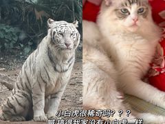 -广州长隆野生动物世界