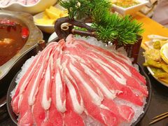 -一斗火锅·招财羊毛肚(北温泉九号店)