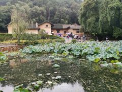 -韶山毛泽东同志故居