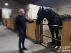 -松声马术俱乐部