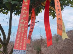 -东白山