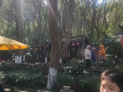 -天目湖山水园