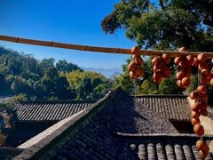 -杨家堂村