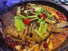 老板恋上鱼-老板恋上鱼(恒隆广场店)