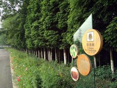 -桤木河湿地公园