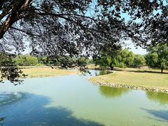 -北京麋鹿生态实验中心