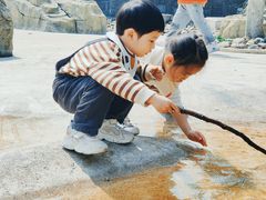 -杭州少年儿童公园