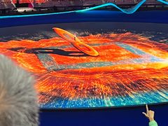 -杭州奥体中心-体育场