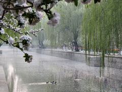 -海棠花溪(元大都城垣遗址公园)