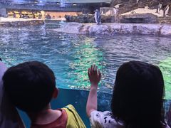 -新加坡飞禽公园