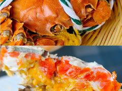 -蟹天蟹地农家菜·阳澄湖大闸蟹(浅水湾店)