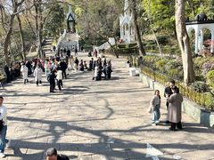 -上海佘山国家森林公园西佘山园