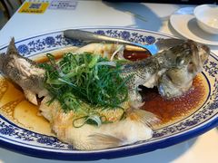 清蒸鲈鱼-至潮餐厅精致粤菜·活鲈鱼·走地鸡(珠江新城店)