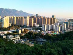 -金鸡山公园