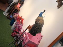 -傣庄园-正宗傣味餐厅·孔雀宴·手抓饭(告庄星光夜市店)