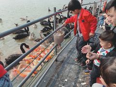 -艾溪湖湿地公园