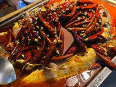 -探鱼·鲜青椒爽麻烤鱼(虎门天虹店)
