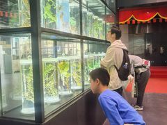 -广东中医药博物馆