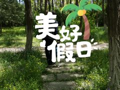 -永定河休闲森林公园