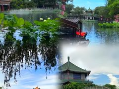 -广州兰圃